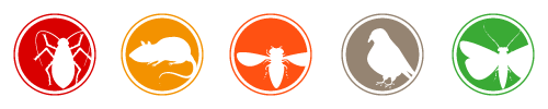 express-schaedlingsbekaempfung-kammerjaeger-icons